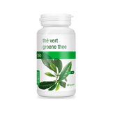 Grüner Tee in Kapseln BIO 384 g (120 Stück) - PURASANA